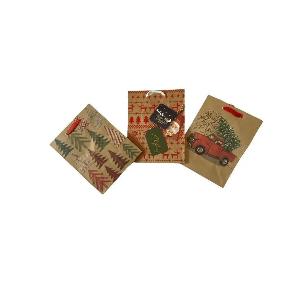 B6.  Full Holiday/Christmas Gift Bag Set - 3 Bags